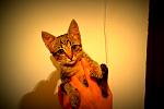     
: DSC_0002 (2).jpg
: 27
:	68.6 
ID:	6279525