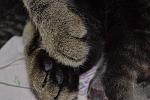     
: DSC_0040.jpg
: 17
:	140.9 
ID:	6279592