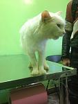     
: IMG_1288.jpg
: 1
:	58.9 
ID:	6280127