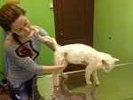     
: IMG_1281.jpg
: 2
:	84.7 
ID:	6280129