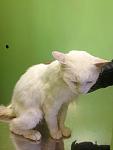     
: IMG_1285.jpg
: 2
:	49.9 
ID:	6280132