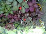     
: 26052013246.jpg
: 6
:	164.8 
ID:	6280312