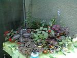     
: 26052013247.jpg
: 5
:	181.9 
ID:	6280313