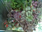     
: 26052013245.jpg
: 5
:	180.1 
ID:	6280314
