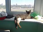     
: 20130525_142607.jpg
: 5
:	109.4 
ID:	6280564