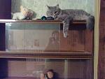     
: 23052013786.jpg
: 7
:	143.8 
ID:	6280880