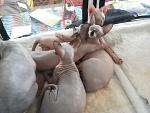     
: 20130526_132551.jpg
: 8
:	163.7 
ID:	6281500