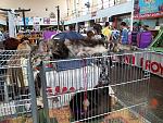     
: 20130526_131722.jpg
: 11
:	198.1 
ID:	6281502
