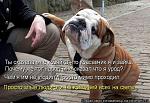     
: hVG5hGj1AM8.jpg
: 25
:	72.6 
ID:	6282111