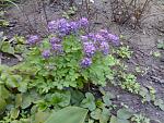     
: 04042009178.jpg
: 5
:	186.8 
ID:	6283034
