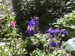     
: 17052007046.jpg
: 6
:	222.9 
ID:	6283270