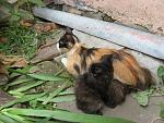     
: IMG_1370.jpg
: 6
:	200.2 
ID:	6284800