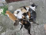     
: IMG_1380.jpg
: 5
:	186.9 
ID:	6284912