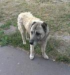     
: IMAG0640-1.jpg
: 47
:	279.7 
ID:	6288585