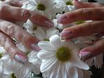     
: DSC01068.JPG
: 3
:	109.4 
ID:	6288827