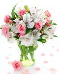     
: cveti_283.jpg
: 3
:	62.0 
ID:	6291005