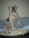     
: DSCN4222.JPG
: 15
:	68.7 
ID:	6291305