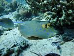     
: DSC08470.jpg
: 6
:	229.8 
ID:	6292007