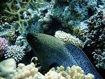     
: DSC08780.jpg
: 6
:	248.8 
ID:	6292009