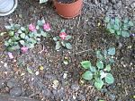     
: IMG_4144.jpg
: 5
:	286.3 
ID:	6292761