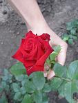     
: IMG_4169.jpg
: 8
:	62.6 
ID:	6292765