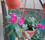     
: IMG_4142.jpg
: 10
:	141.8 
ID:	6292783