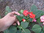     
: IMG_4151.jpg
: 6
:	162.1 
ID:	6292787