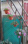     
: IMG_4138.jpg
: 8
:	109.7 
ID:	6292788