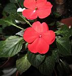     
: IMG_3852.jpg
: 5
:	98.8 
ID:	6292812