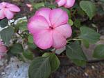     
: IMG_4083.jpg
: 6
:	95.8 
ID:	6292814
