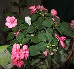     
: IMG_4147.jpg
: 6
:	126.5 
ID:	6292815