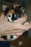     
: IMG_0112.jpg
: 6
:	54.7 
ID:	6292969