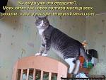     
: 8dGtebSa9JI.jpg
: 6
:	60.1 
ID:	6293271