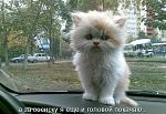     
: vk0UJzAie4A.jpg
: 7
:	75.8 
ID:	6293725