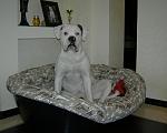     
: DSCN4123.JPG
: 58
:	107.3 
ID:	6295061