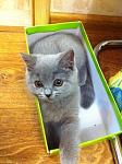     
: фотография1.JPG
: 12
:	138.9 
ID:	6296150