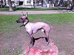     
: IMG_2410.JPG
: 23
:	282.3 
ID:	6298769