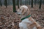     
: DSC_0359.jpg
: 26
:	139.8 
ID:	629887