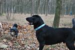     
: DSC_0407.jpg
: 31
:	166.7 
ID:	629888