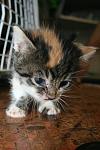     
: IMG_0110.jpg
: 10
:	80.0 
ID:	6300586