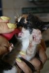     
: IMG_0120.jpg
: 11
:	55.3 
ID:	6300587