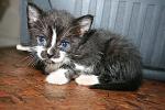    
: IMG_0124.jpg
: 10
:	121.5 
ID:	6300609