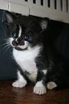     
: IMG_0121.jpg
: 8
:	54.0 
ID:	6300611