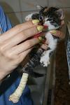     
: IMG_0125.jpg
: 7
:	57.5 
ID:	6300629
