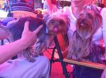     
: IMG_0382n.jpg
: 33
:	152.9 
ID:	6301645