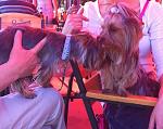     
: IMG_0383.jpg
: 29
:	164.0 
ID:	6301660