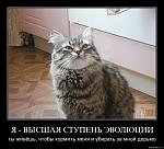     
: tftptqxx73kl.jpg
: 10
:	188.2 
ID:	6303488