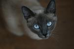     
: IMG_4716.jpg
: 8
:	46.9 
ID:	6304739