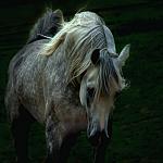     
: 1259090044_04_08_2007_0993957001186205788_wojtek_kwiatkowski.jpg
: 22
:	72.3 
ID:	630696