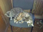     
: 20130508_134442.jpg
: 9
:	207.0 
ID:	6307423